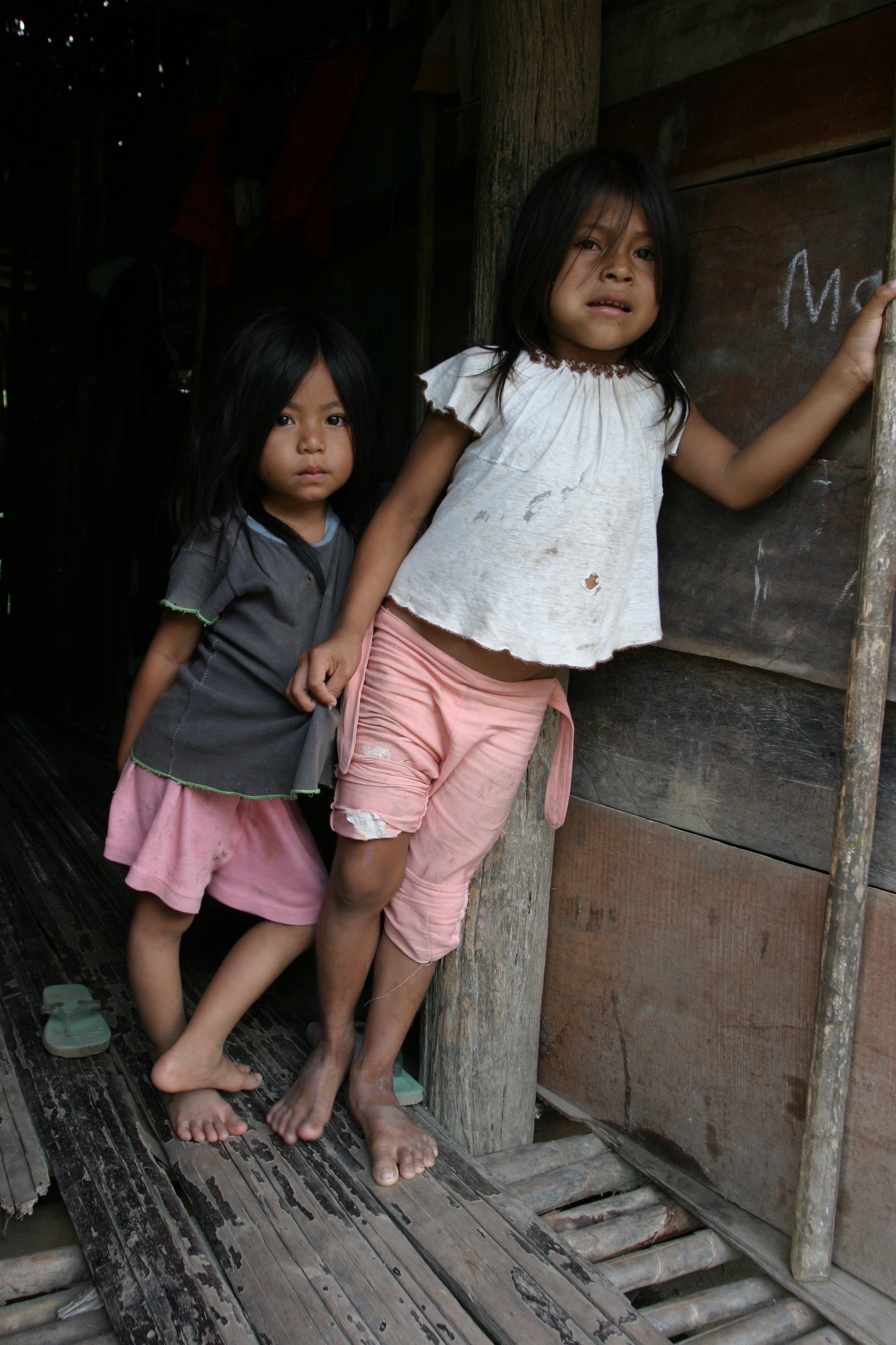 Amerindian Girl in Peru