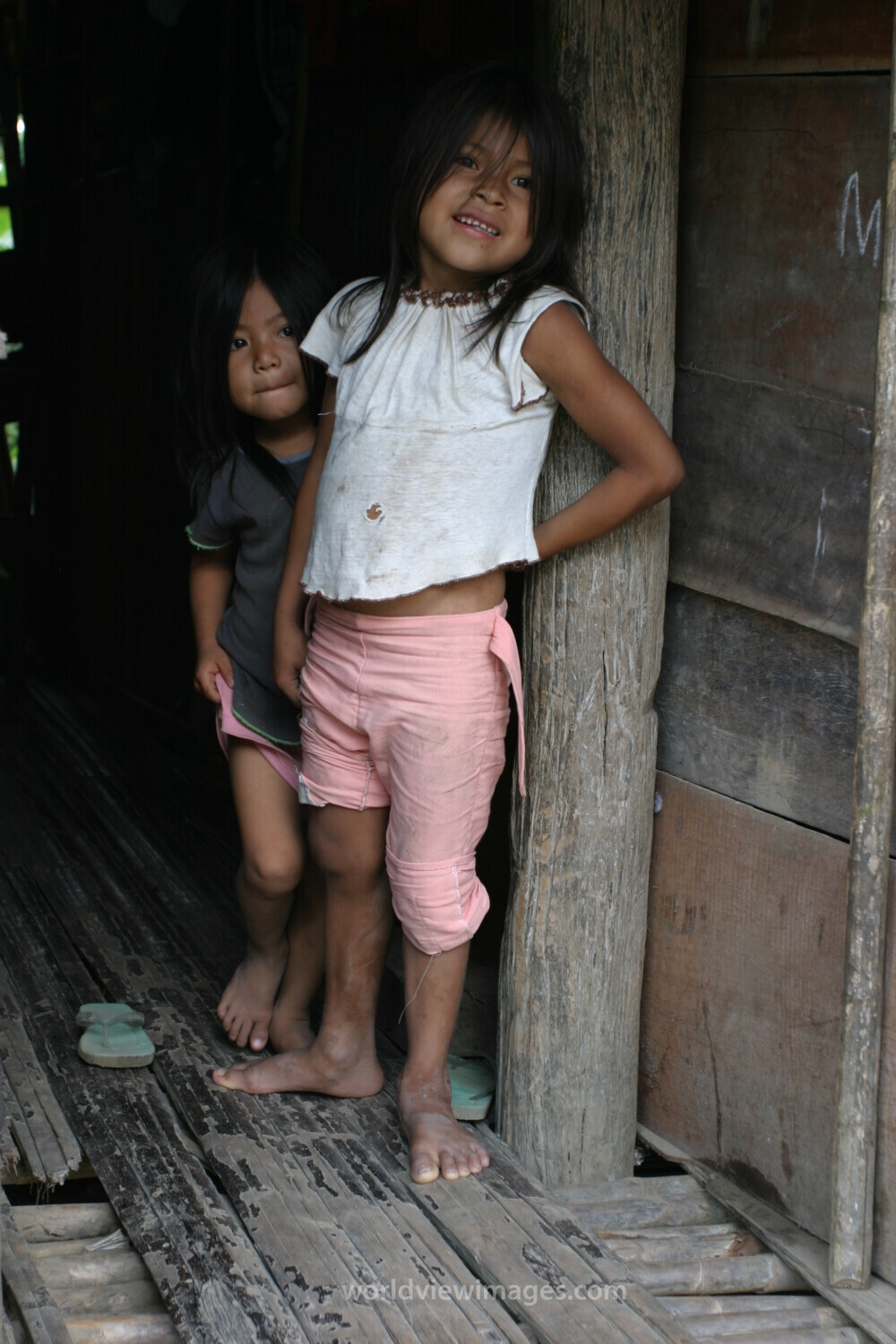 Amerindian Girl in Peru