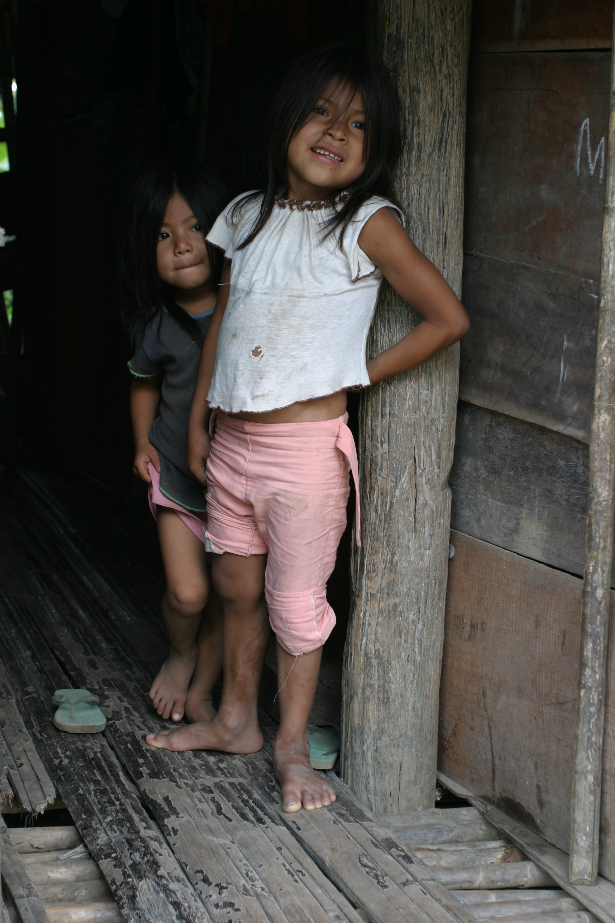 Amerindian Girl in Peru