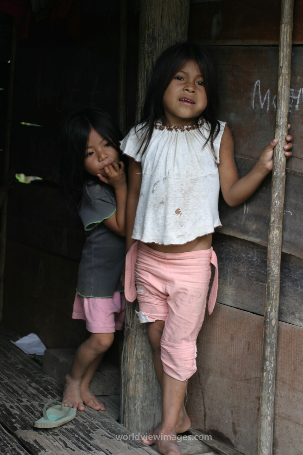Amerindian Girl in Peru