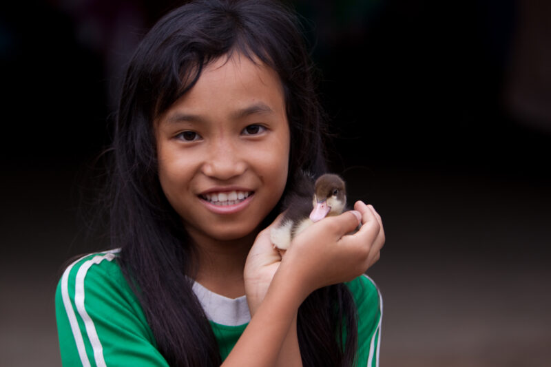 Girl in Thailand — Girls from Thailand — Thailand, faces, child, children, girls