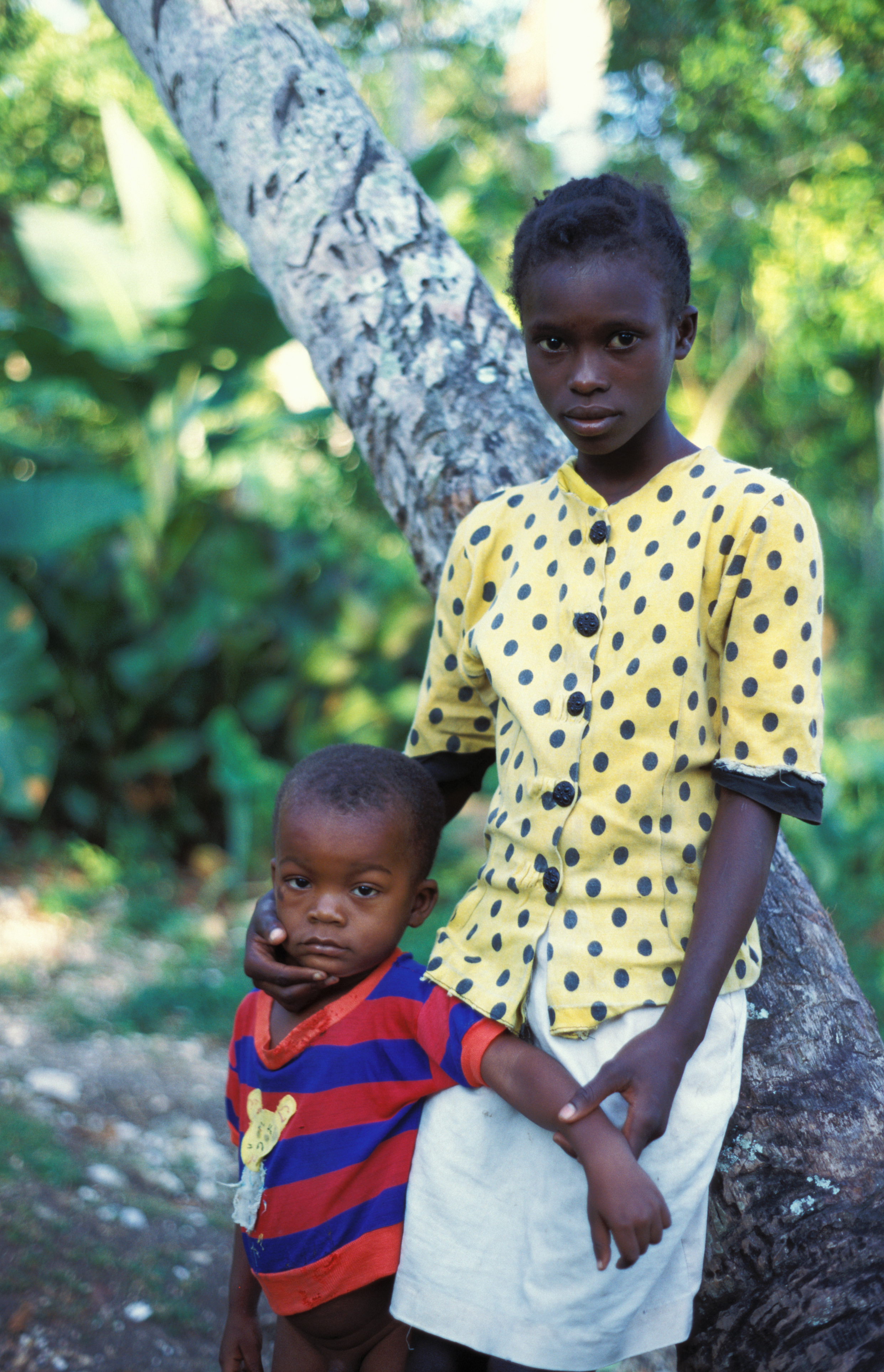 Stock Images of Haiti