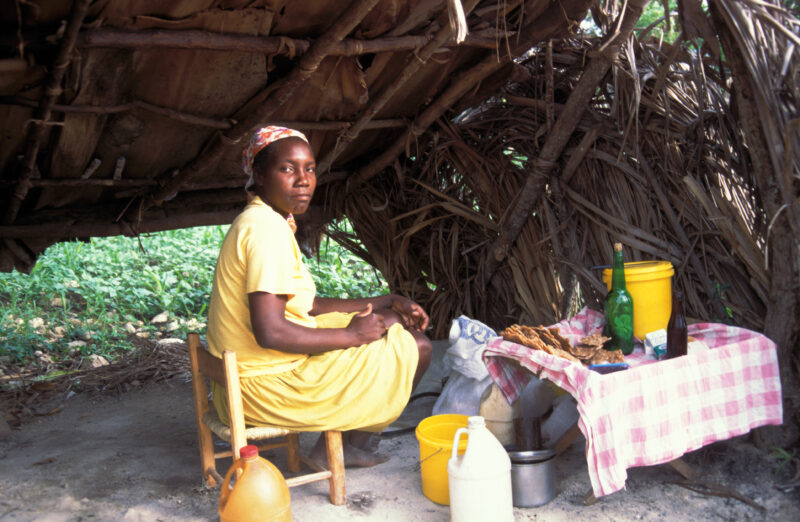 Stock Images of Haiti — Stock Image of Haiti: Woman at a roadside stand sells lunch — Haiti, Haitian, woman, women, stall