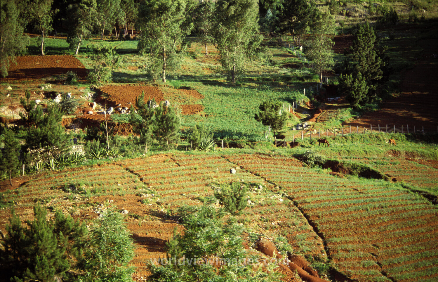 Stock Images of Haiti