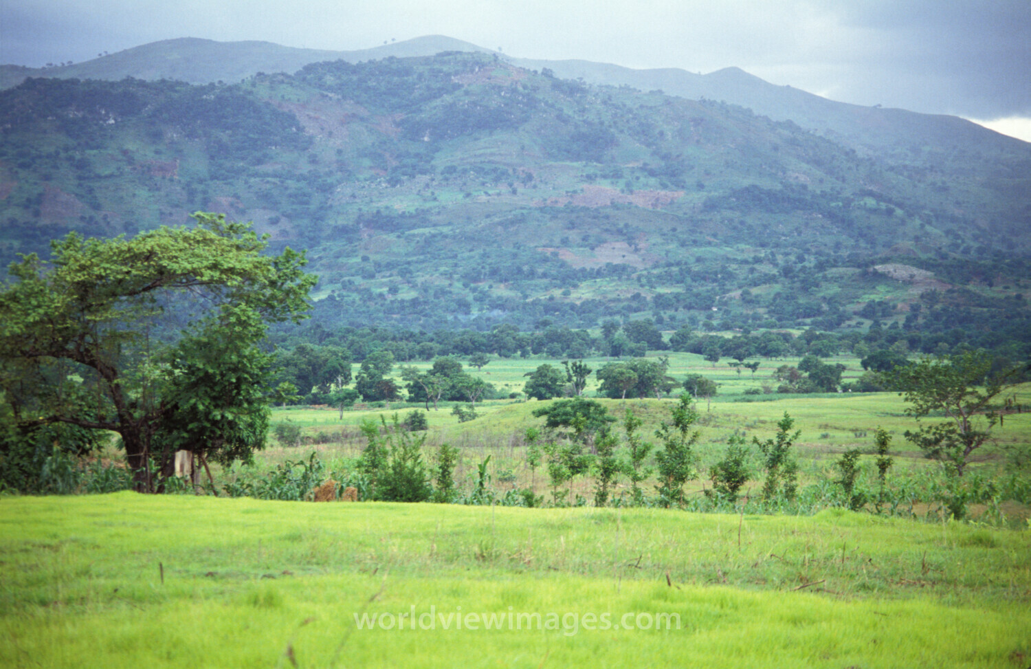 Stock Images of Haiti