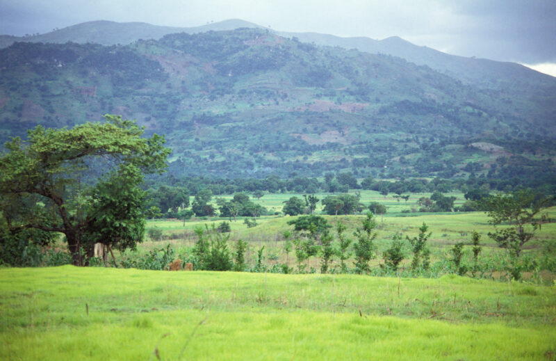 Stock Images of Haiti — Stock Image of Haiti: Green pastures in Haiti with mountains in back. — Haiti, Haitian, fields, pasture, mountains