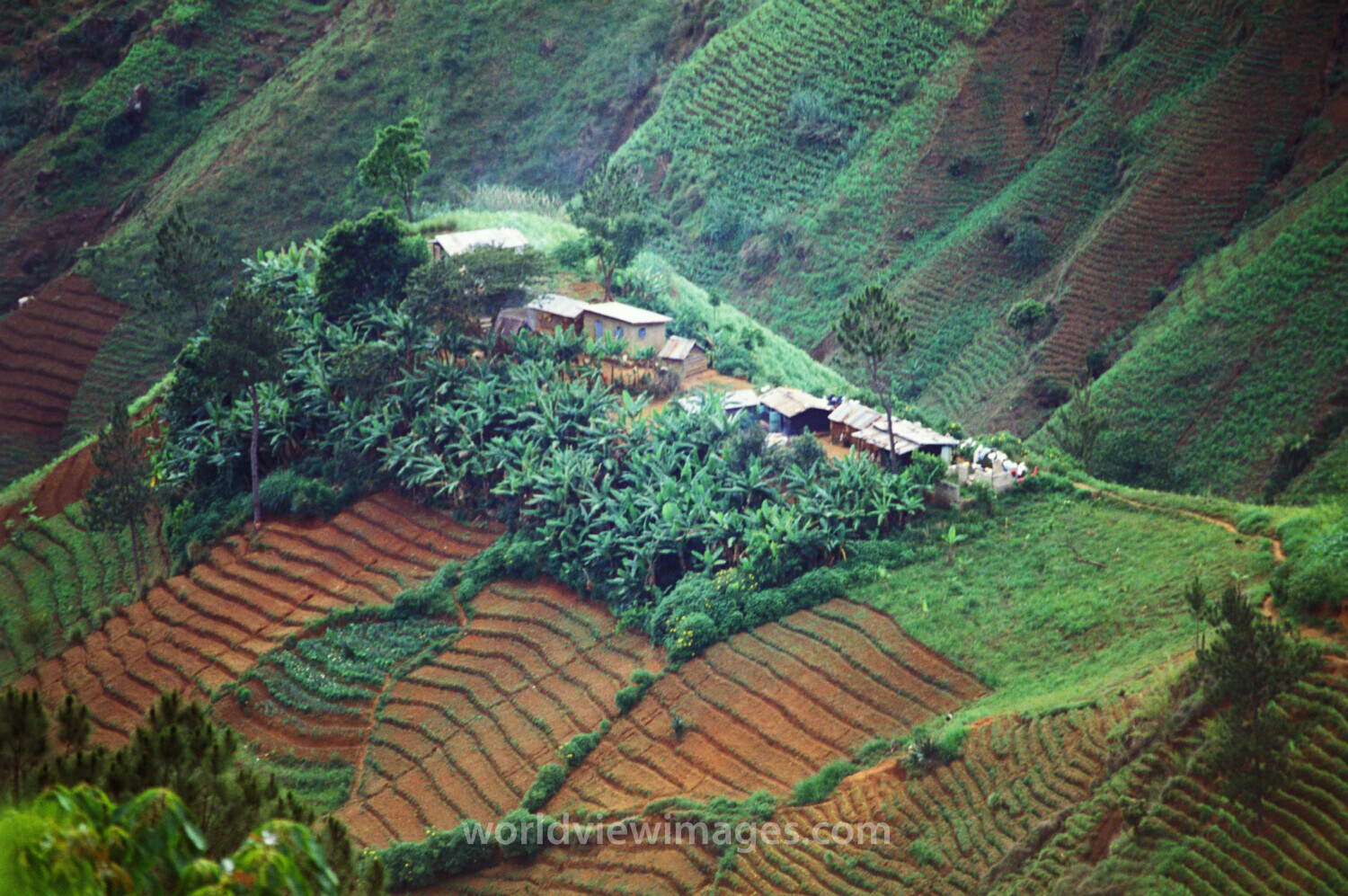 Stock Images of Haiti