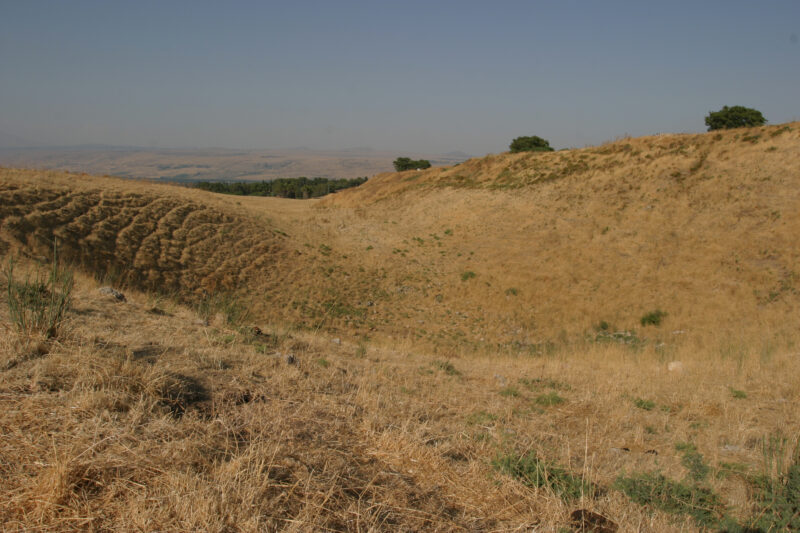 Fields of Isreal — Northern Israel, Hazor, field, agriculture, farming