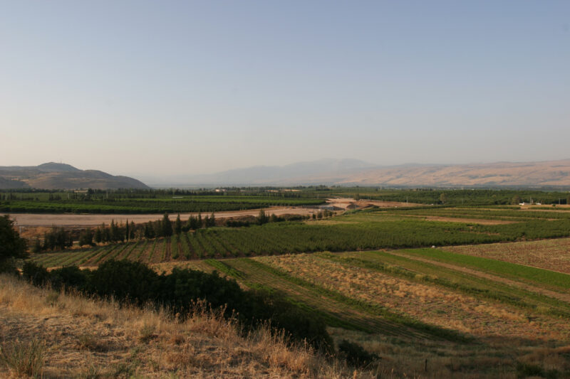Fields of Isreal — Northern Israel, Hazor, field, agriculture, farming
