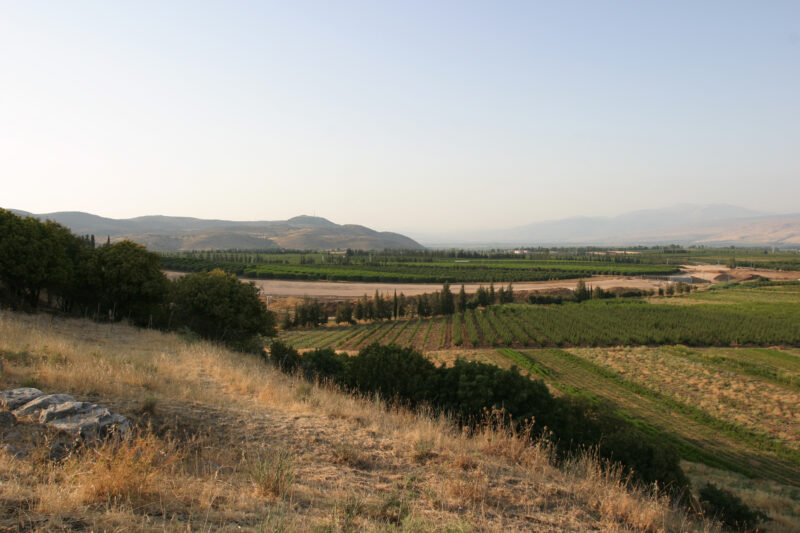 Fields of Isreal — Northern Israel, Hazor, field, agriculture, farming