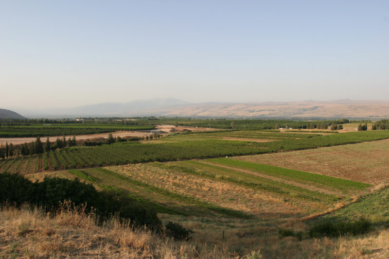 Fields of Isreal — Northern Israel, Hazor, field, agriculture, farming