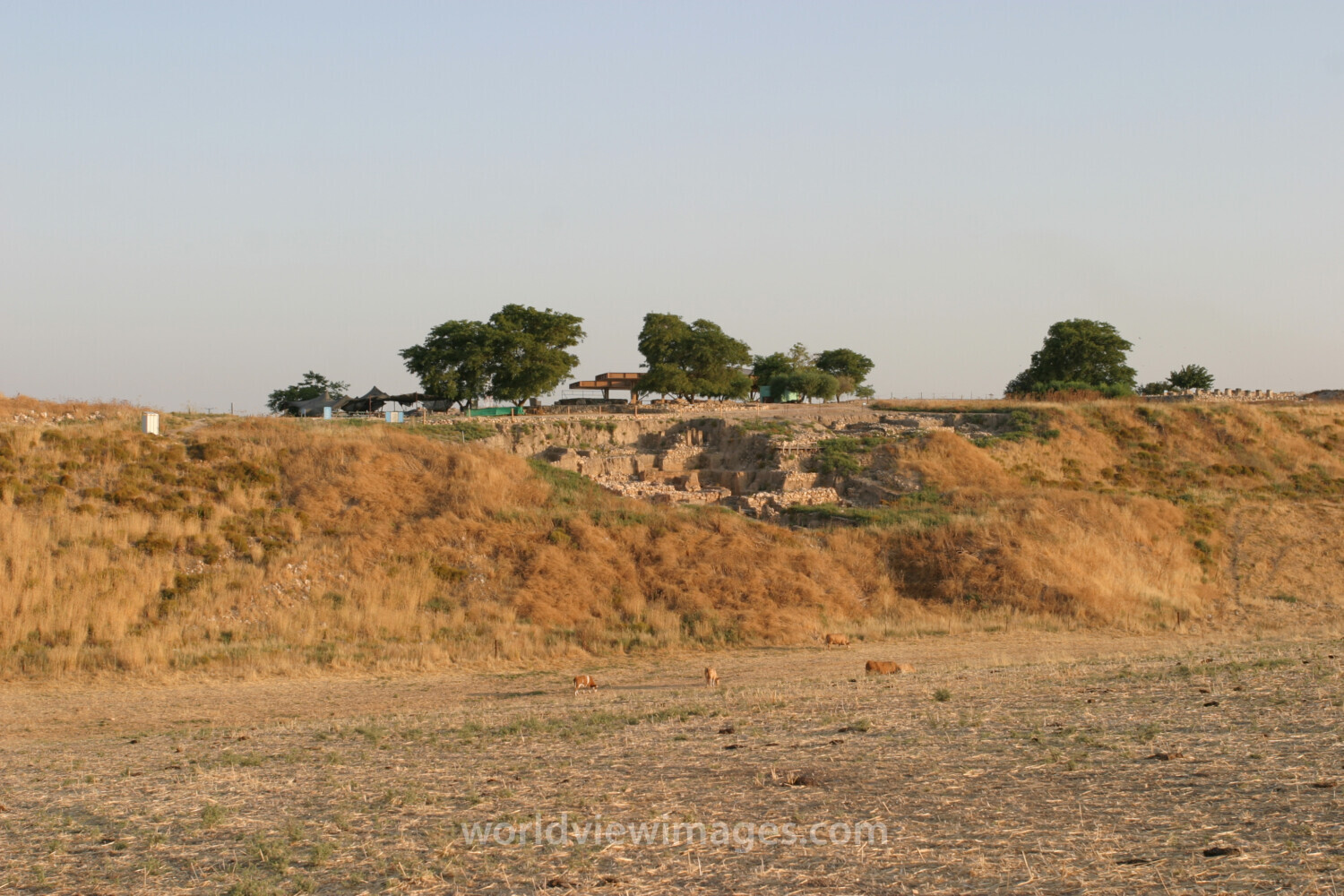 Hazor Archeology Site
