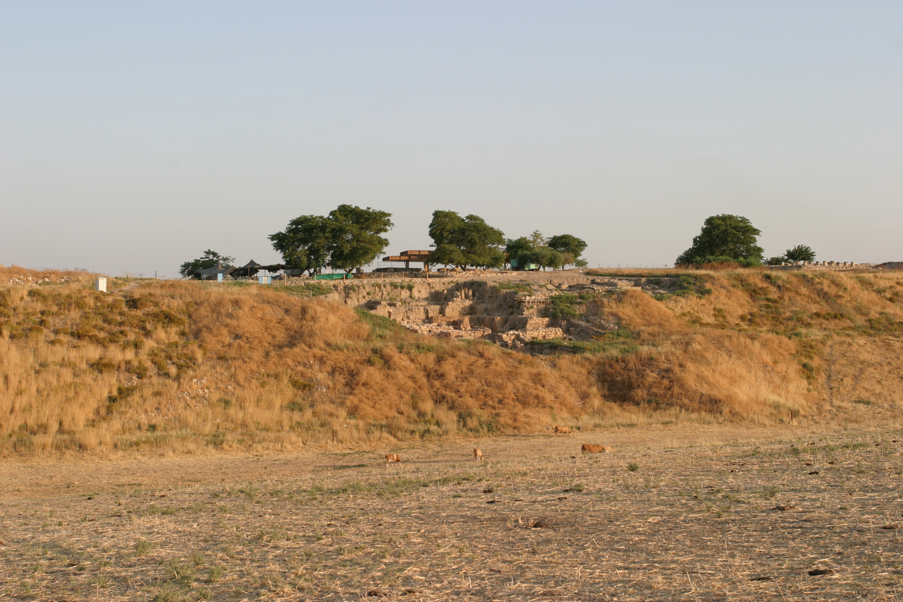 Hazor Archeology Site