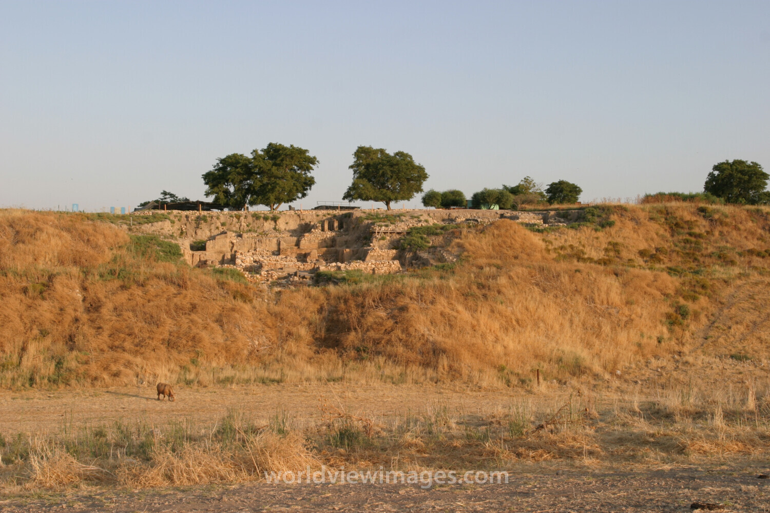 Hazor Archeology Site