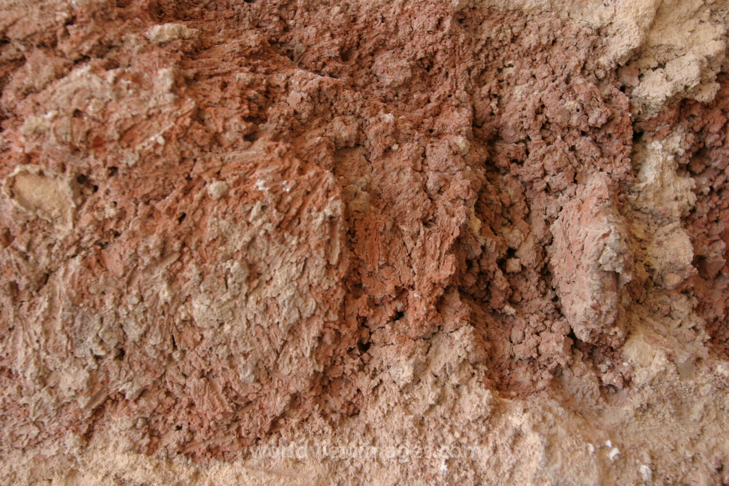 Hazor Archeology Site