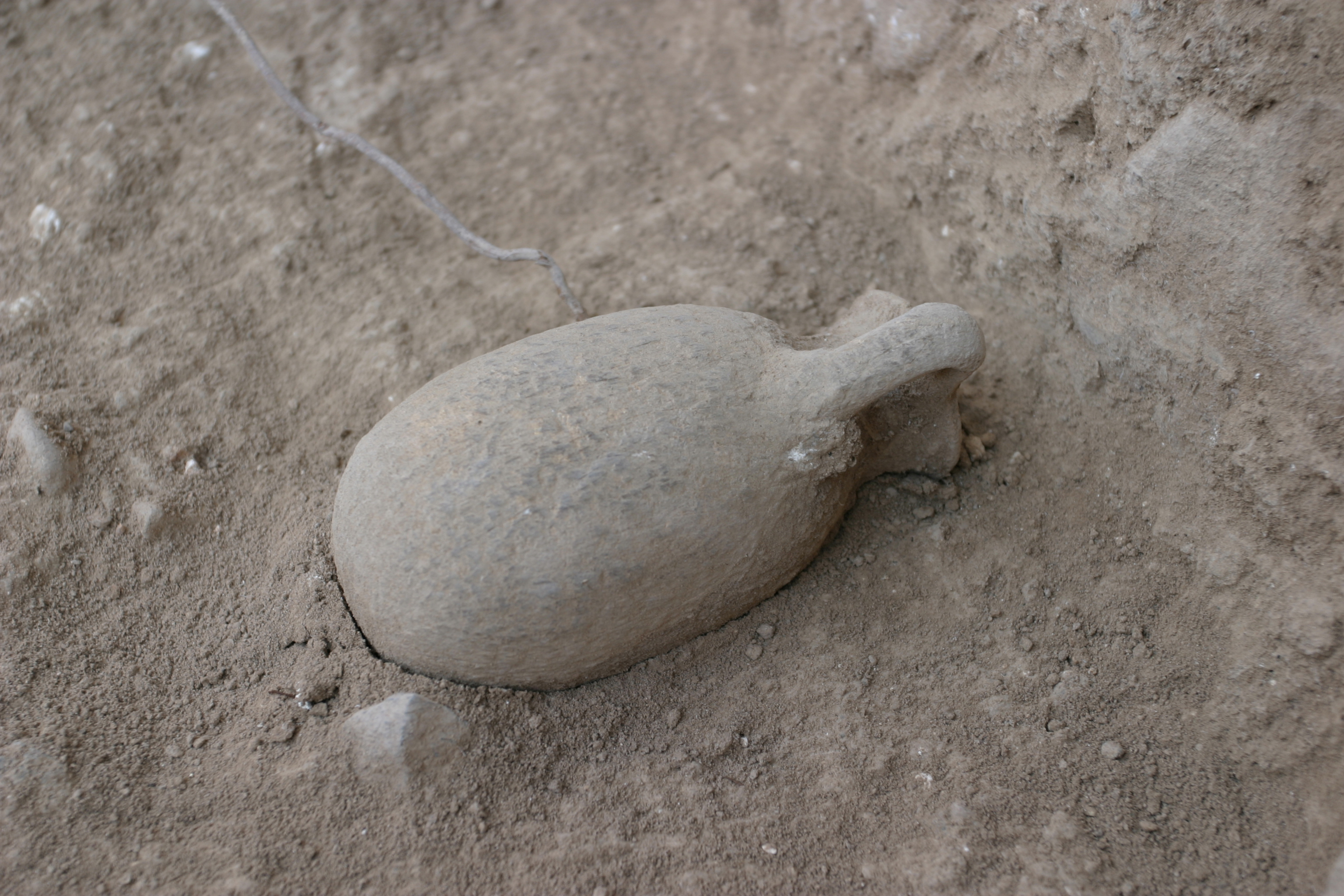 Hazor Archeology Site