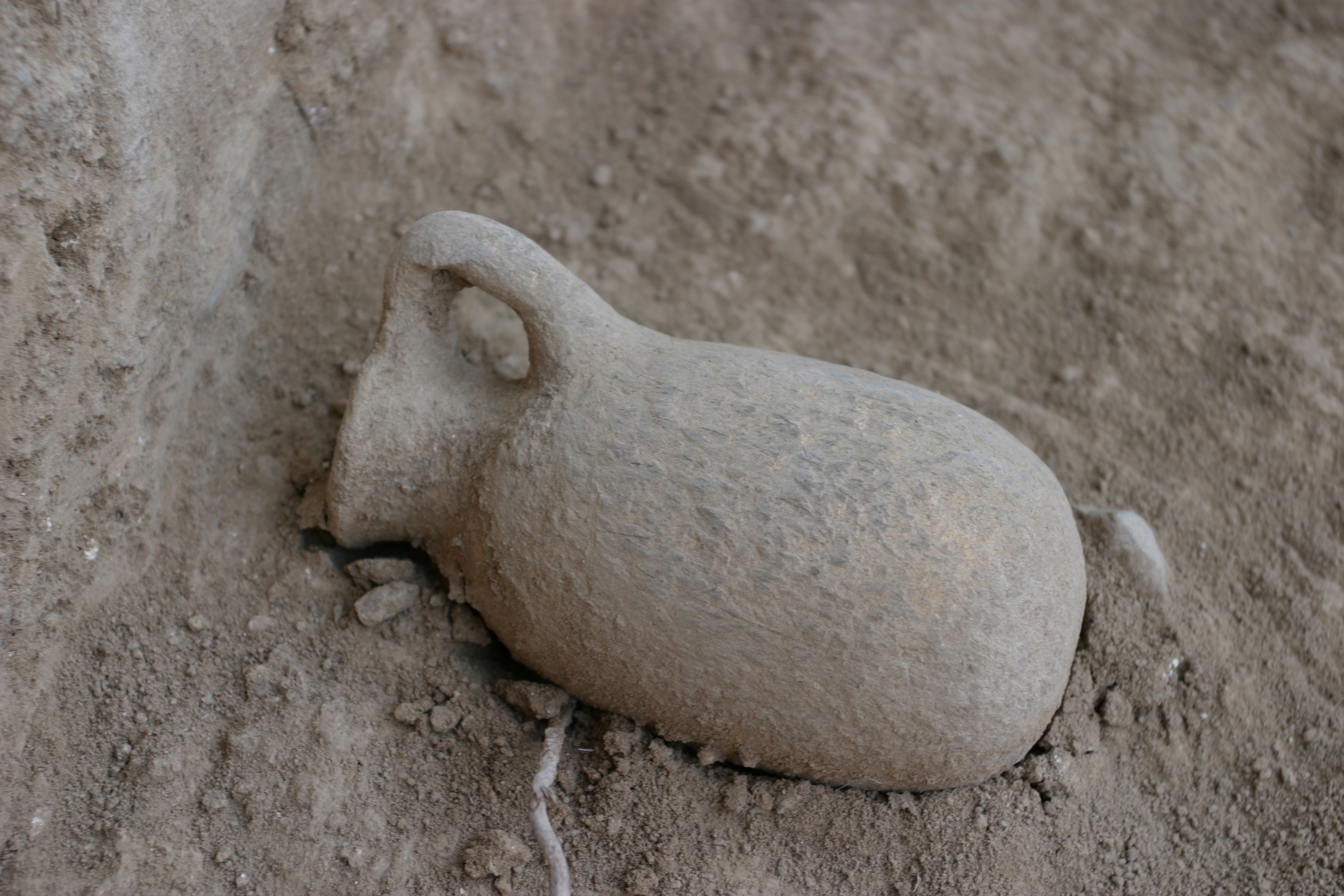 Hazor Archeology Site