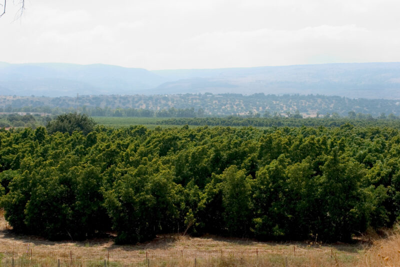 Photo: Northern Isreal — Israel