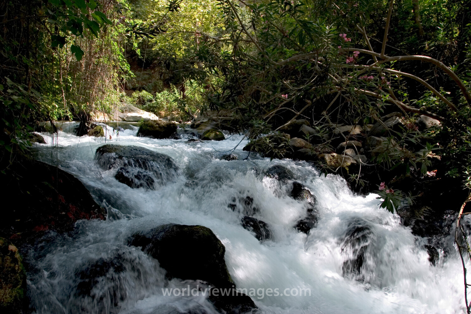 Banias Nature Reserve