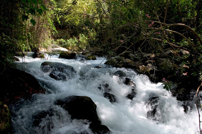 Banias Nature Reserve — The beautiful refreshing scenes of the Hermon Nature Reserve — Israel, Banias Nature Reserve, Hermon Stream, river, nature