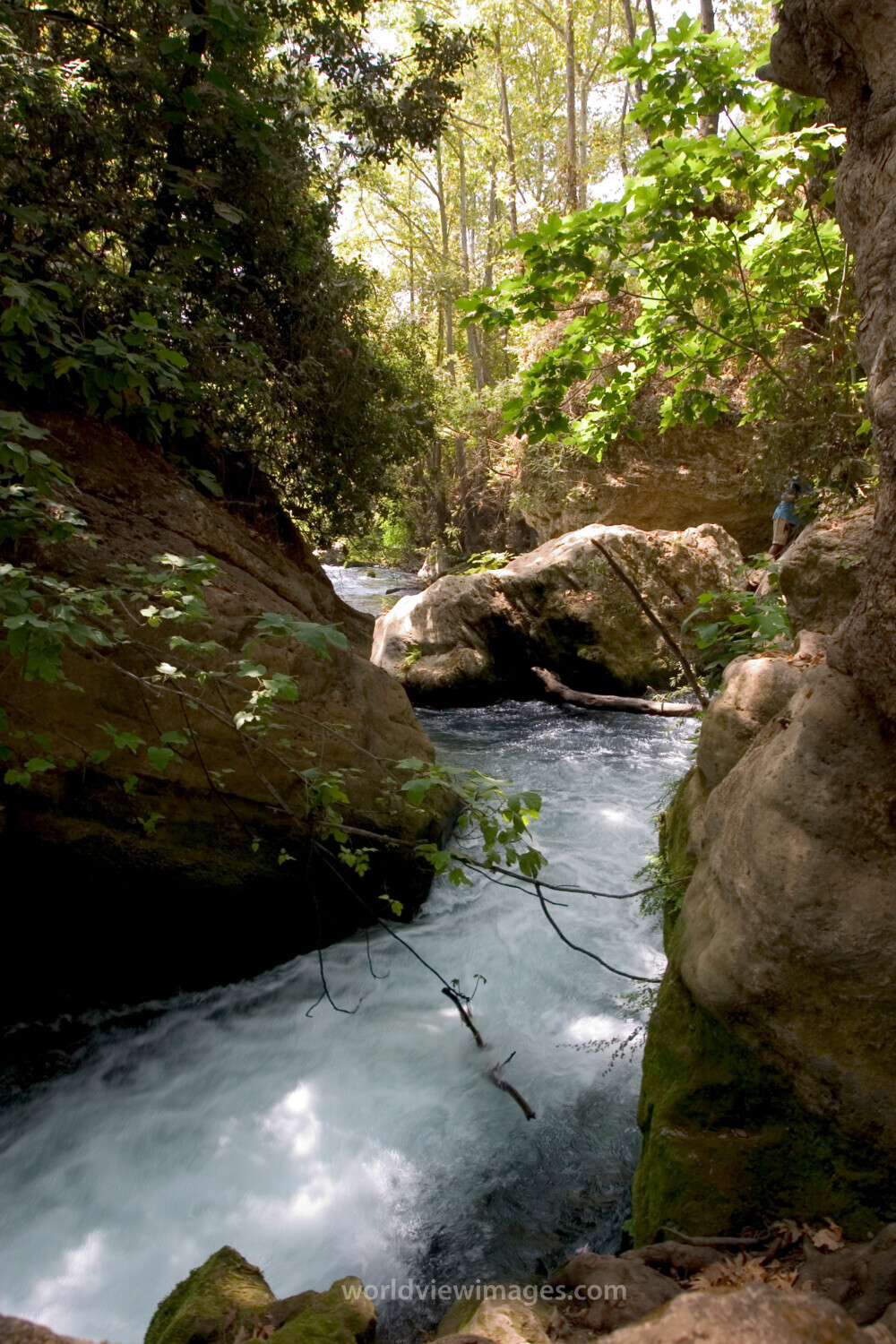 Banias Nature Reserve