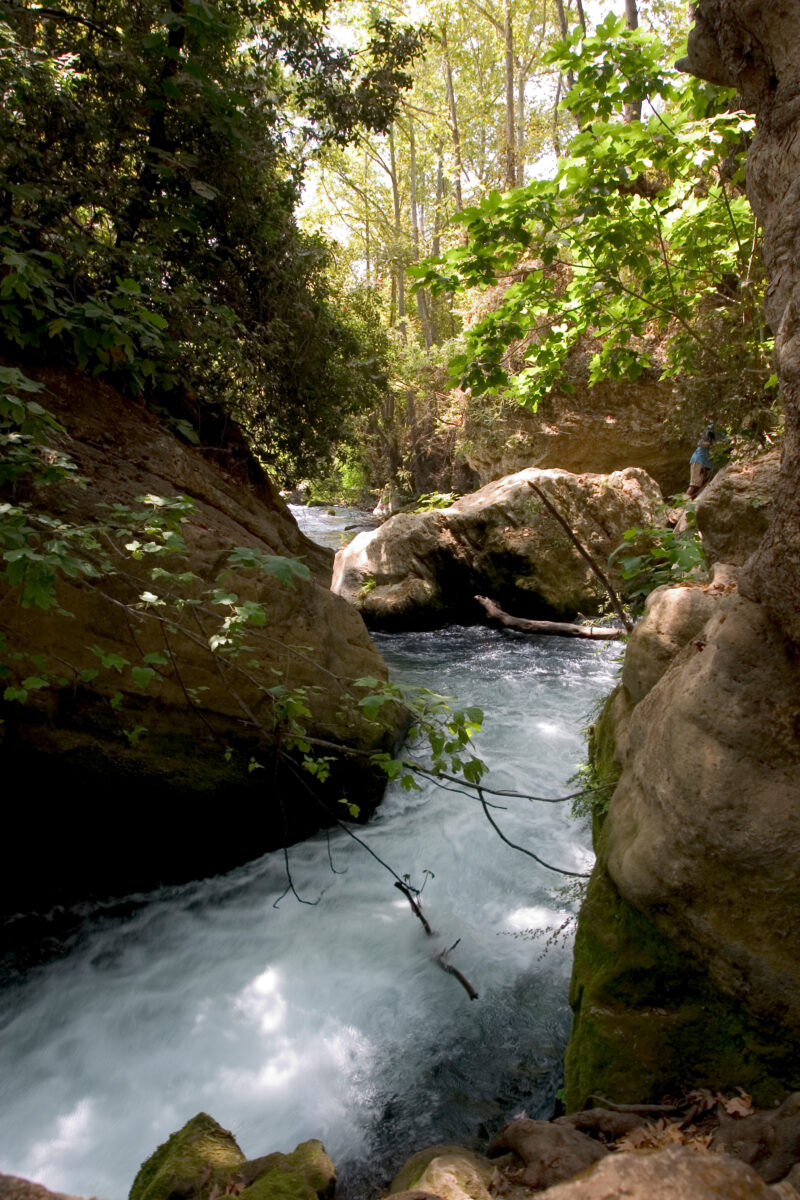 Banias Nature Reserve — The beautiful refreshing scenes of the Hermon Nature Reserve — Israel, Banias Nature Reserve, Hermon Stream, river, nature