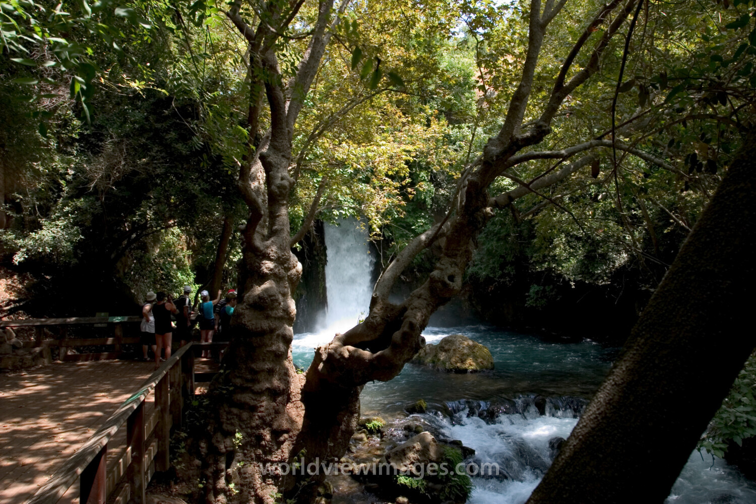 Banias Nature Reserve