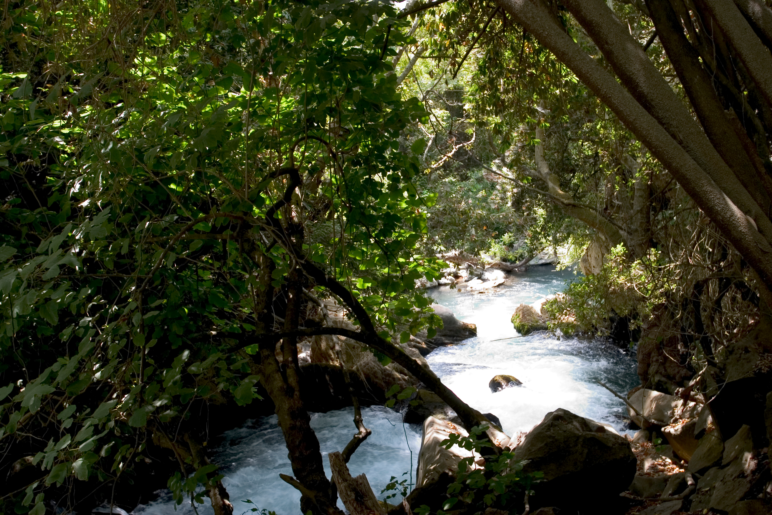 Banias Nature Reserve