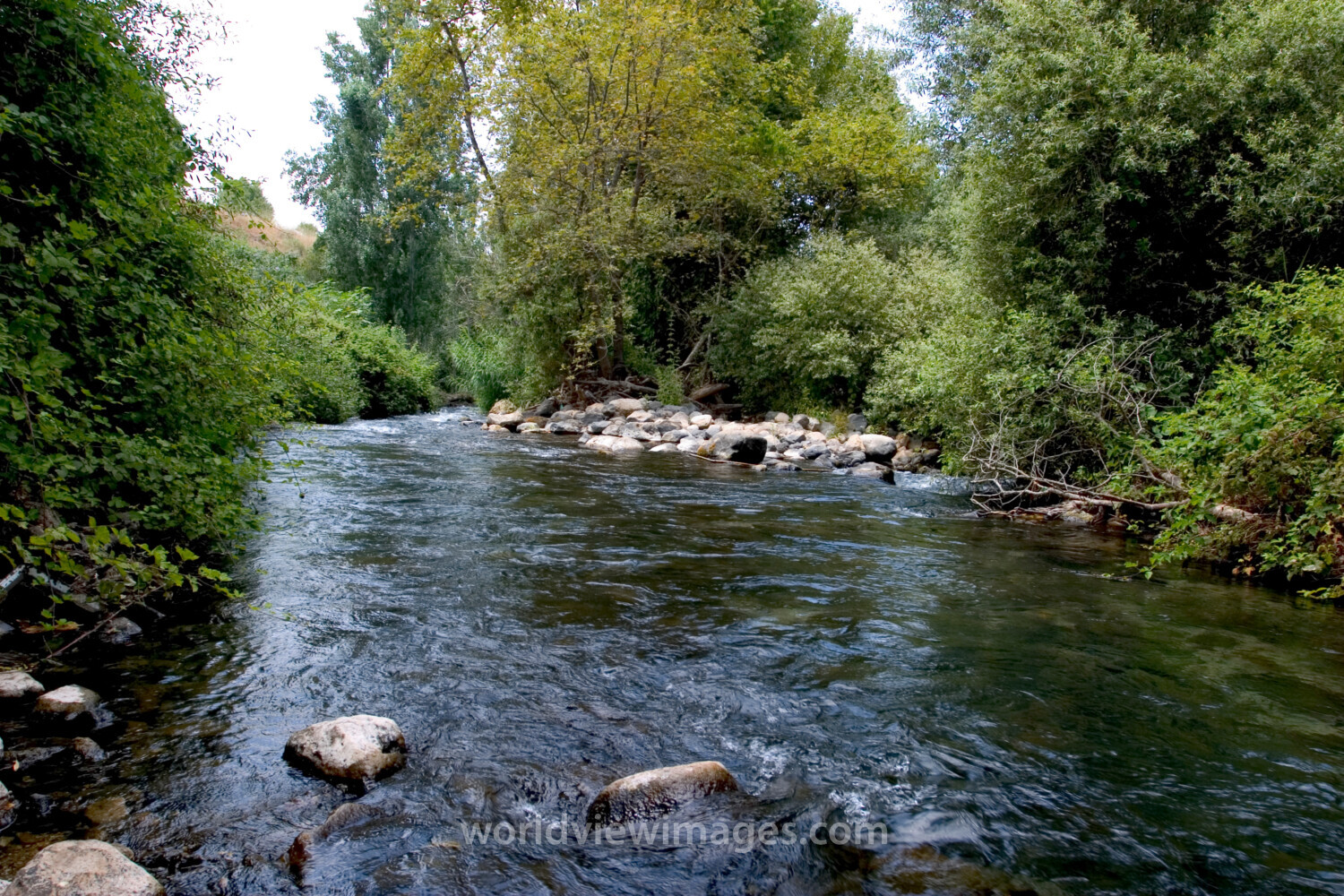 Banias Nature Reserve