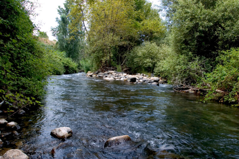 Banias Nature Reserve — The beautiful refreshing scenes of the Hermon Nature Reserve — Israel, Banias Nature Reserve, Hermon Stream, river, nature