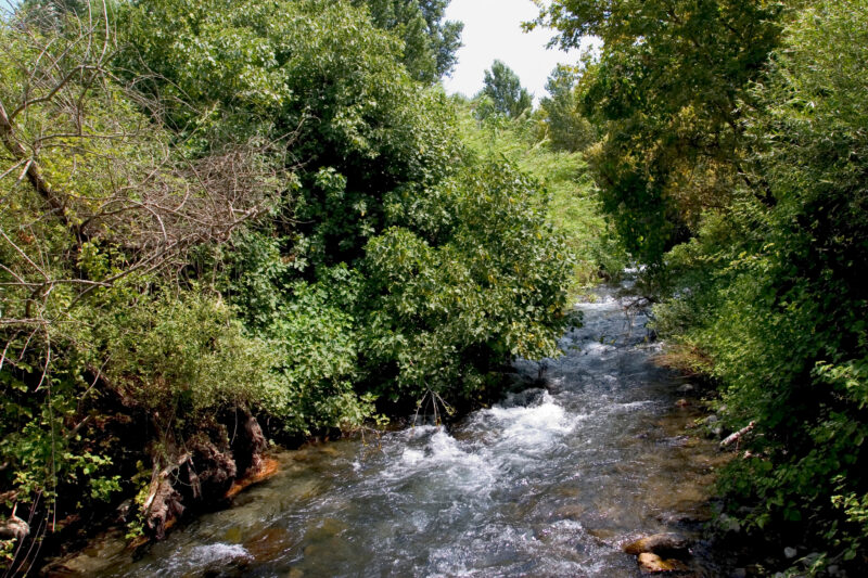 Banias Nature Reserve — The beautiful refreshing scenes of the Hermon Nature Reserve — Israel, Banias Nature Reserve, Hermon Stream, river, nature