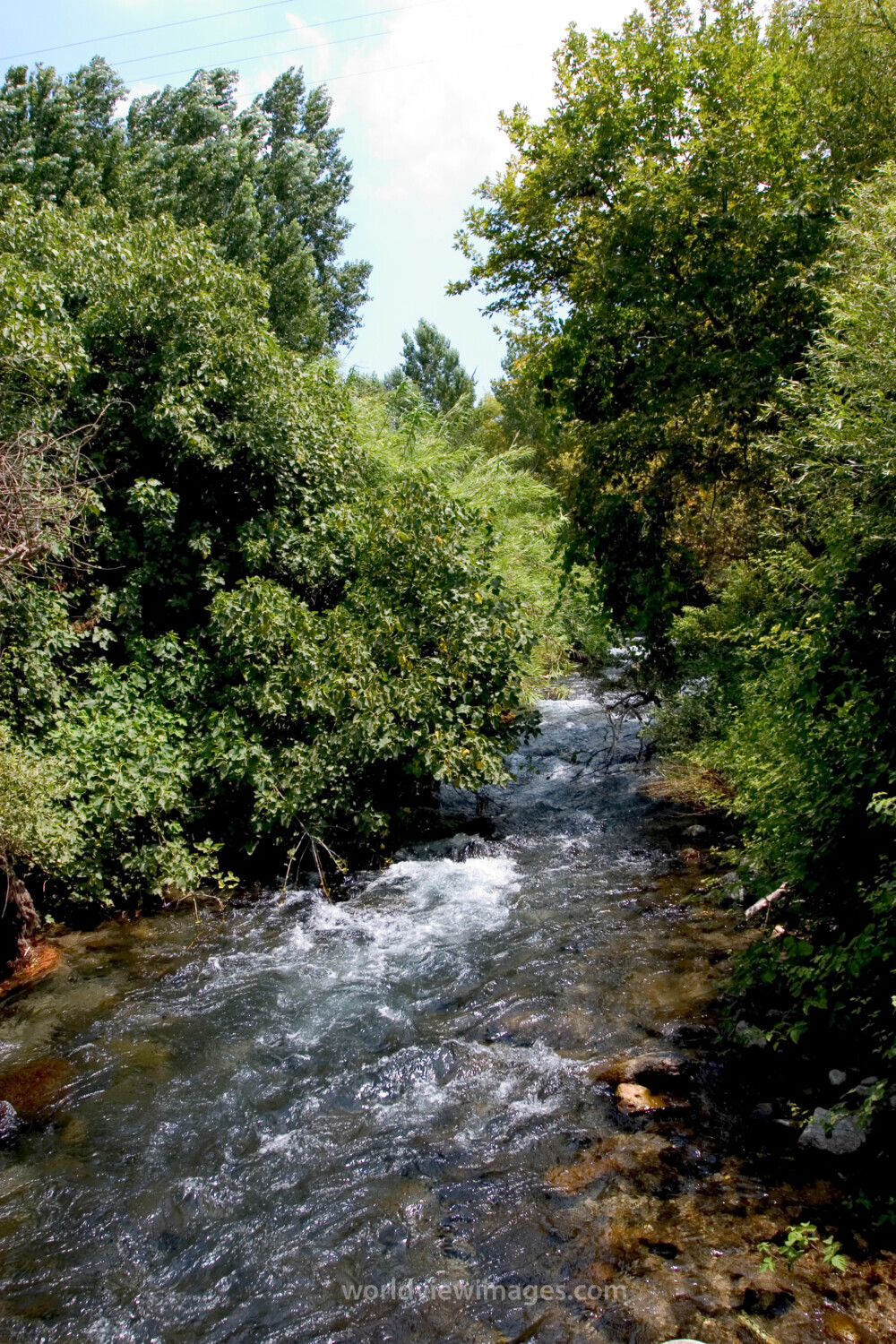 Banias Nature Reserve