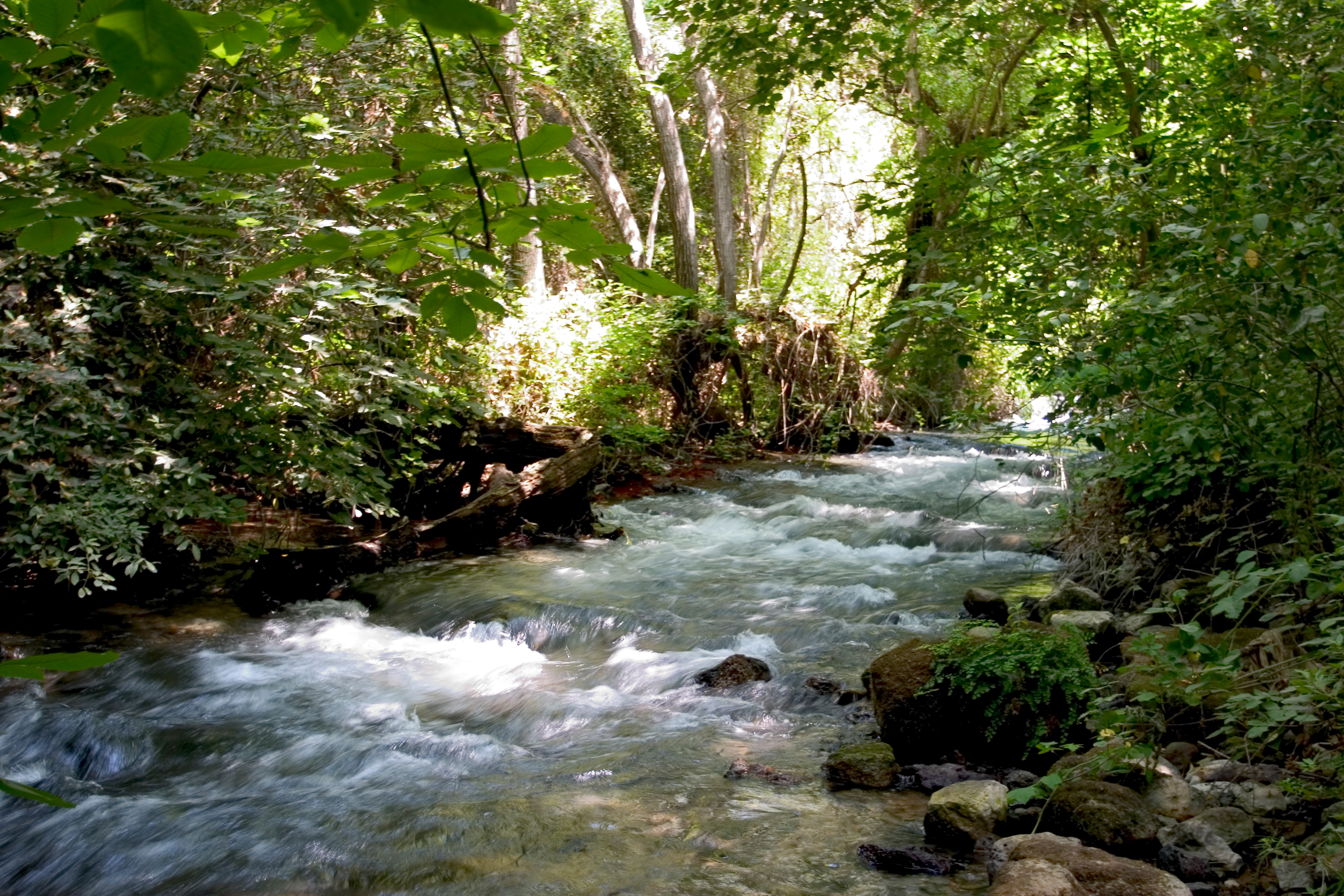 Banias Nature Reserve