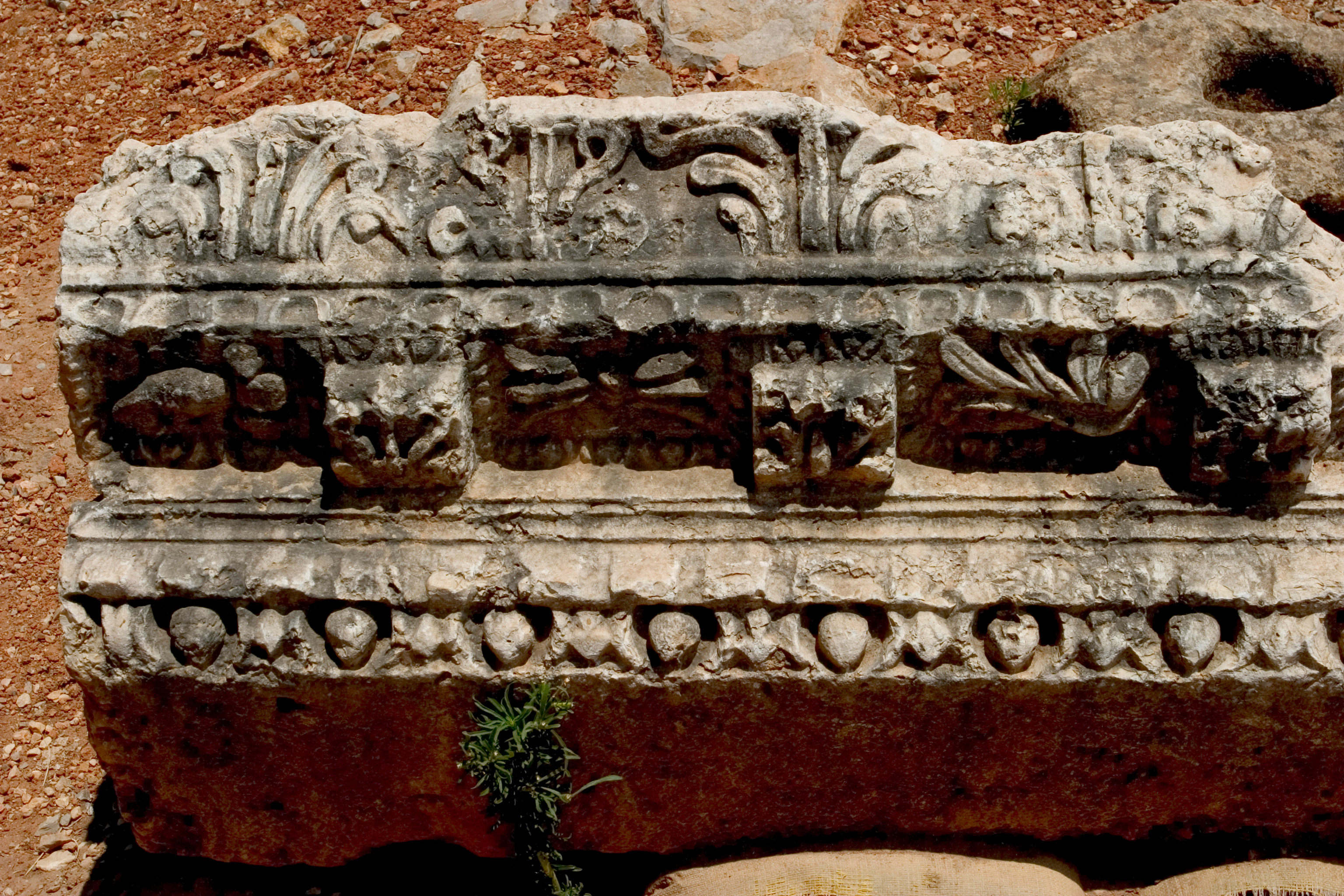 Banias Nature Reserve