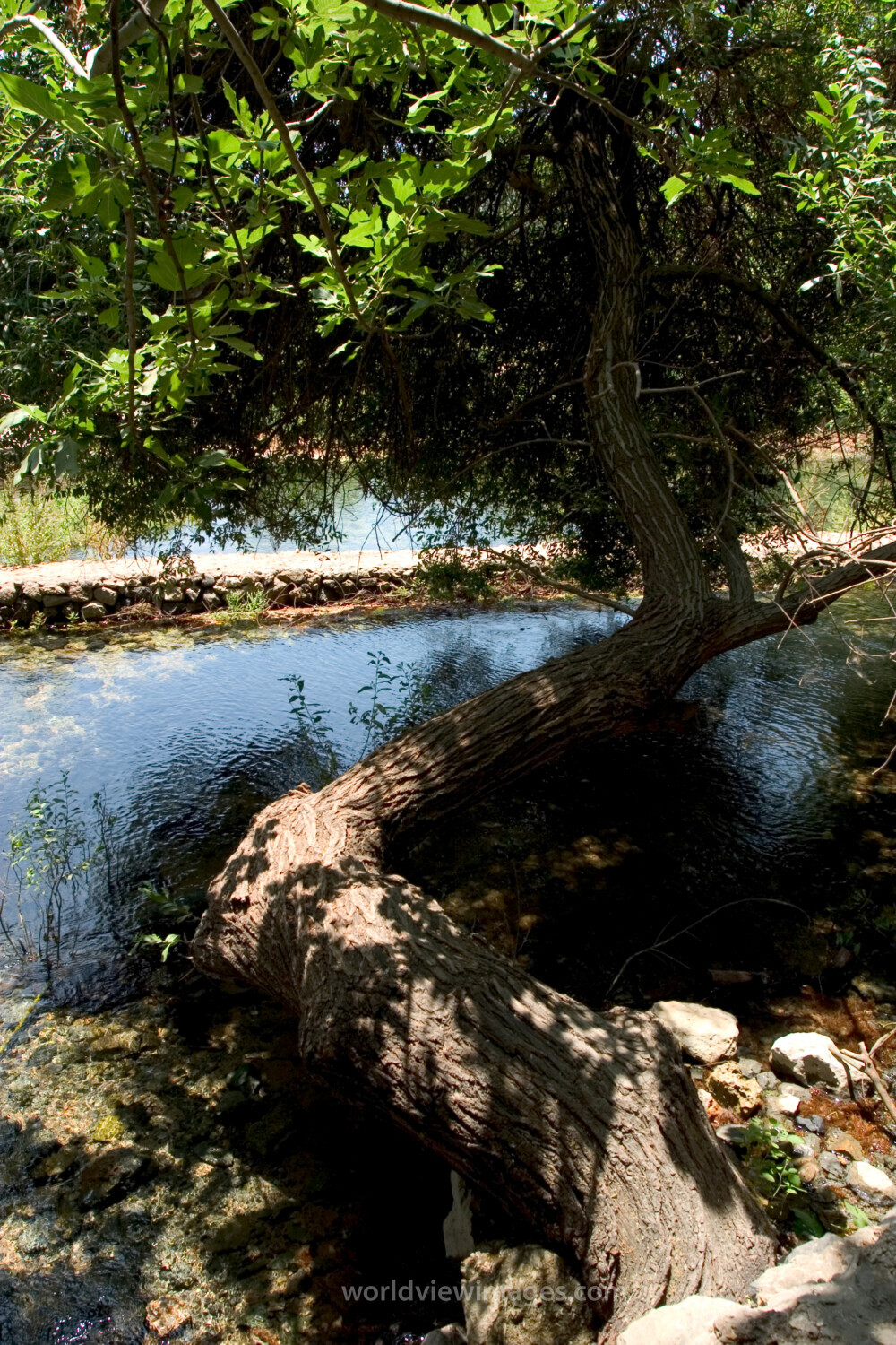 Banias Nature Reserve