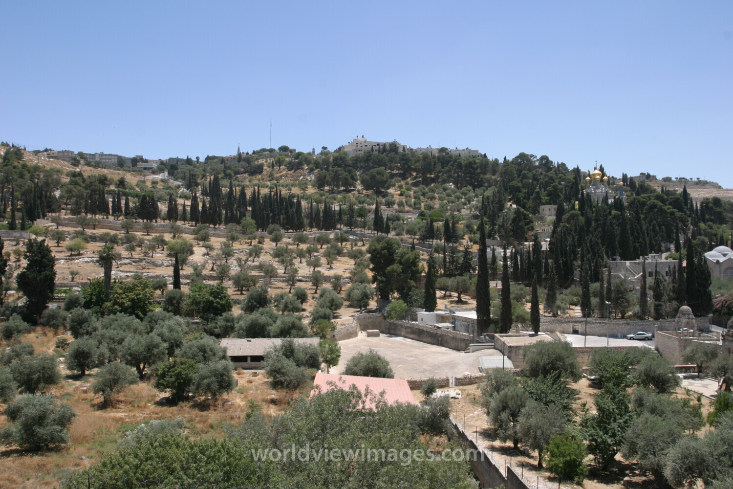 Mount of Olives