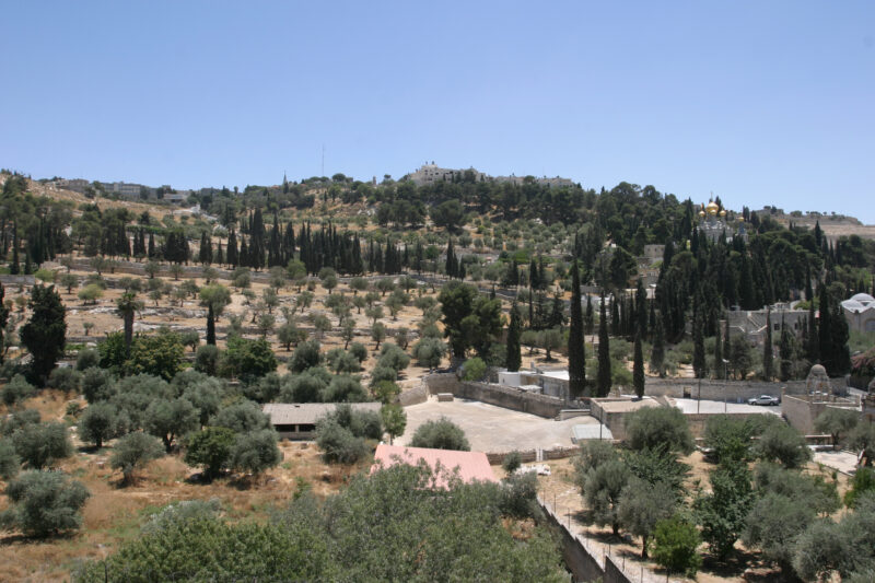 Mount of Olives — Mounto of Olives outside Jerusalem — Israel, Jerusalem, Mount of Olives