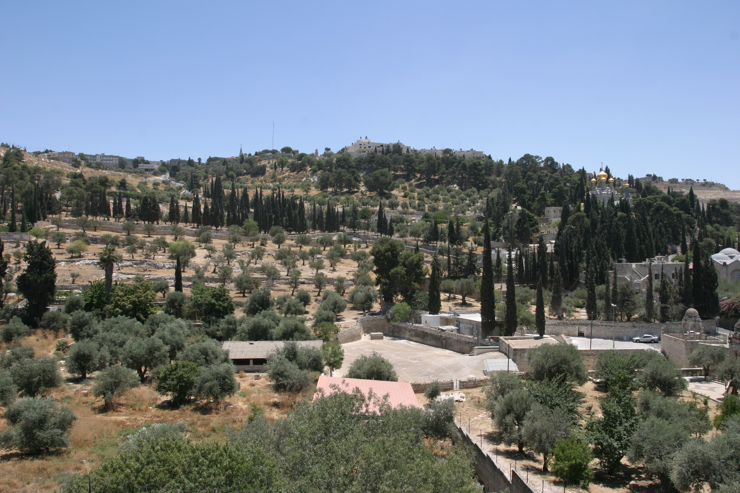 Mount of Olives