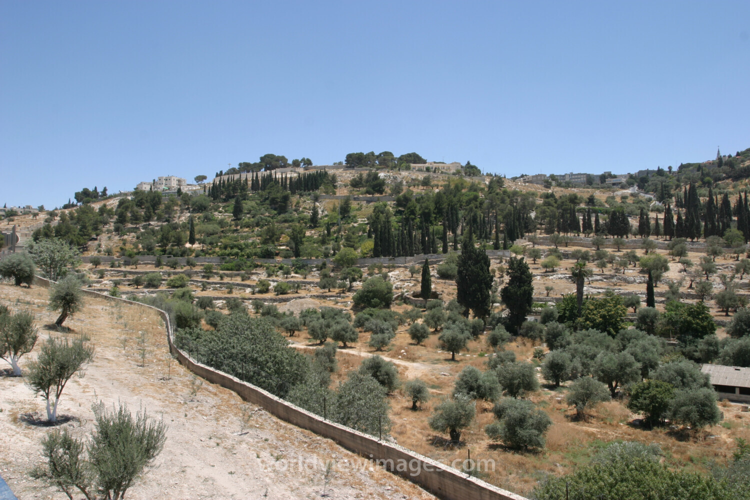 Mount of Olives