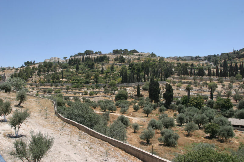 Mount of Olives — Mounto of Olives outside Jerusalem — Israel, Jerusalem, Mount of Olives