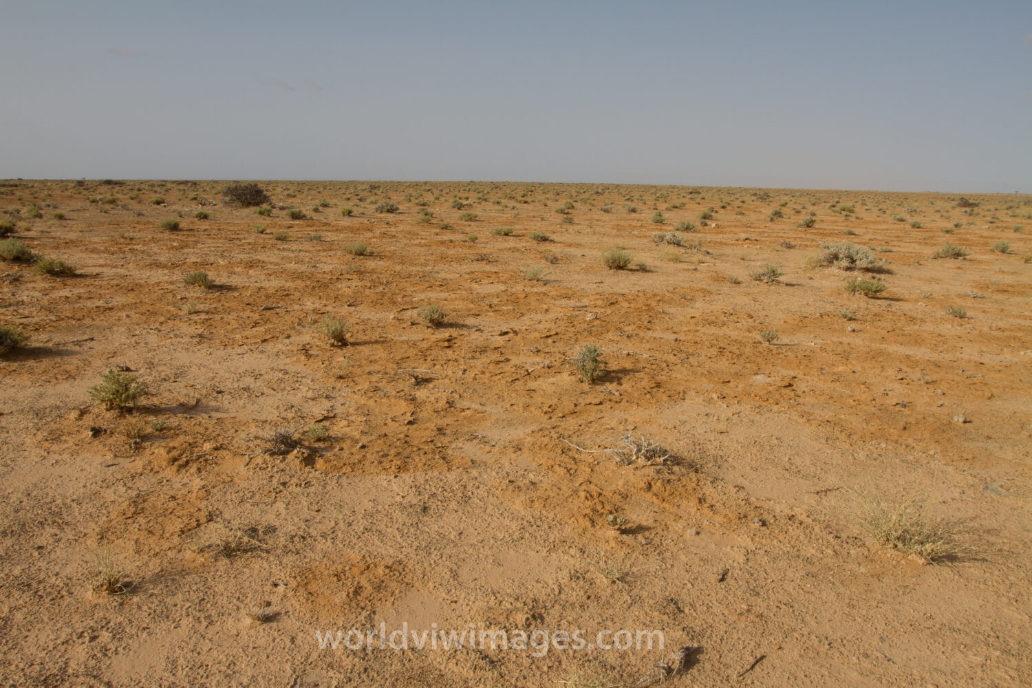 A Time of Drought in Somolia