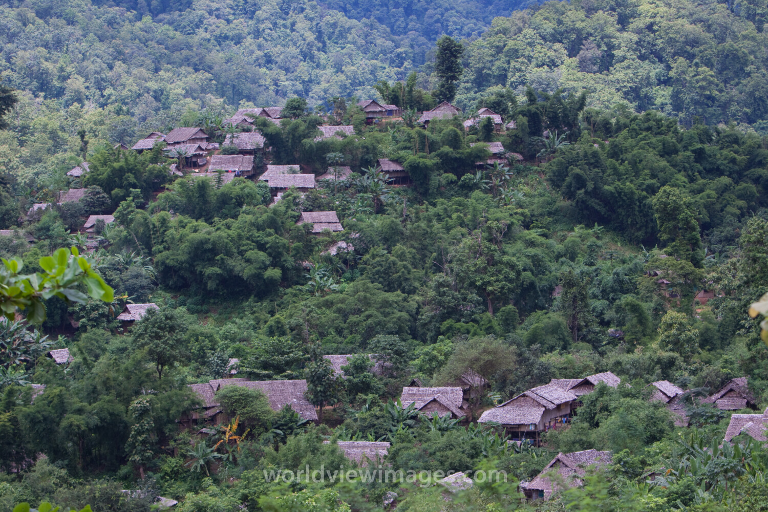 Refugee Camp in the Jungle