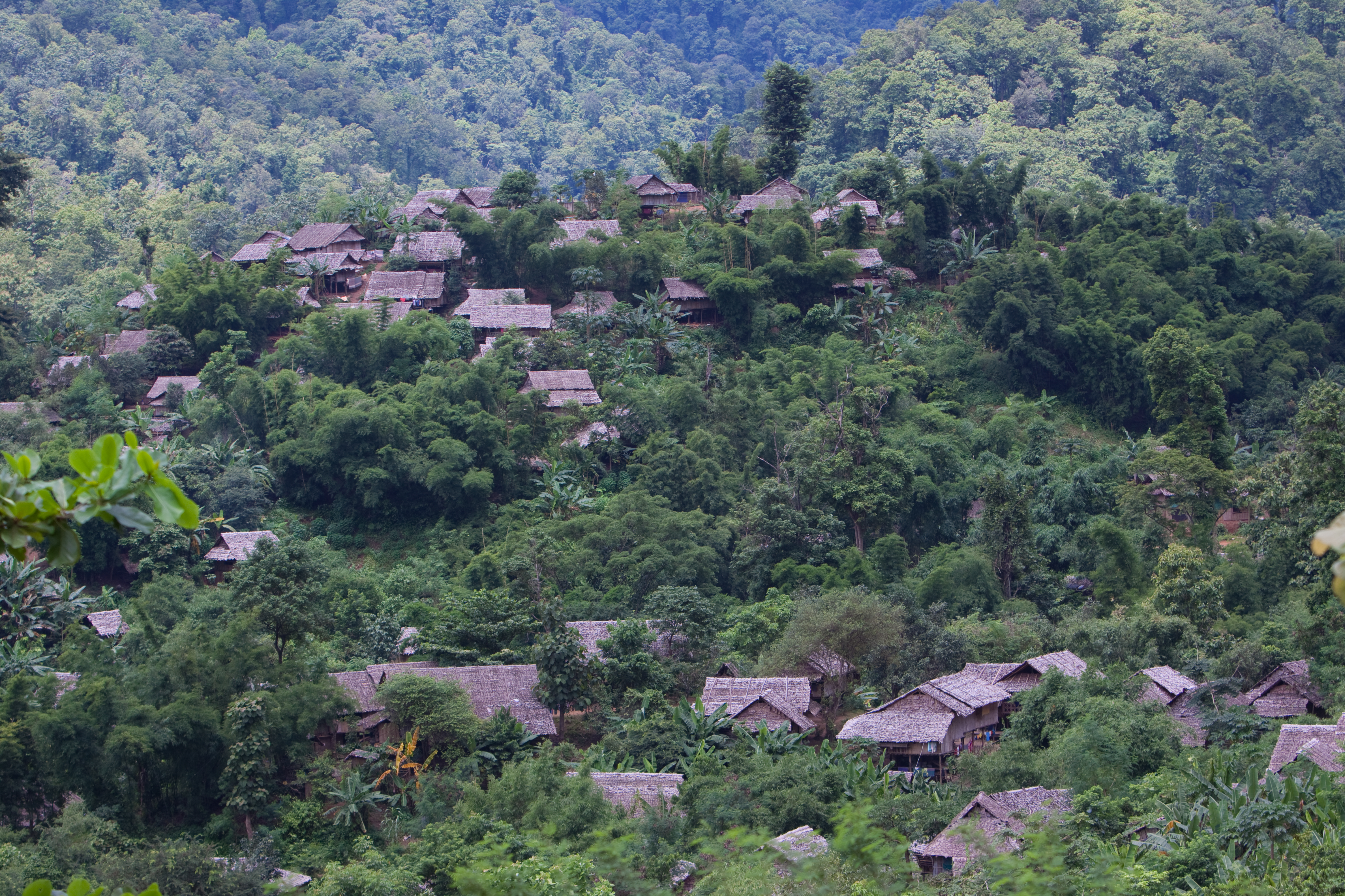 Refugee Camp in the Jungle