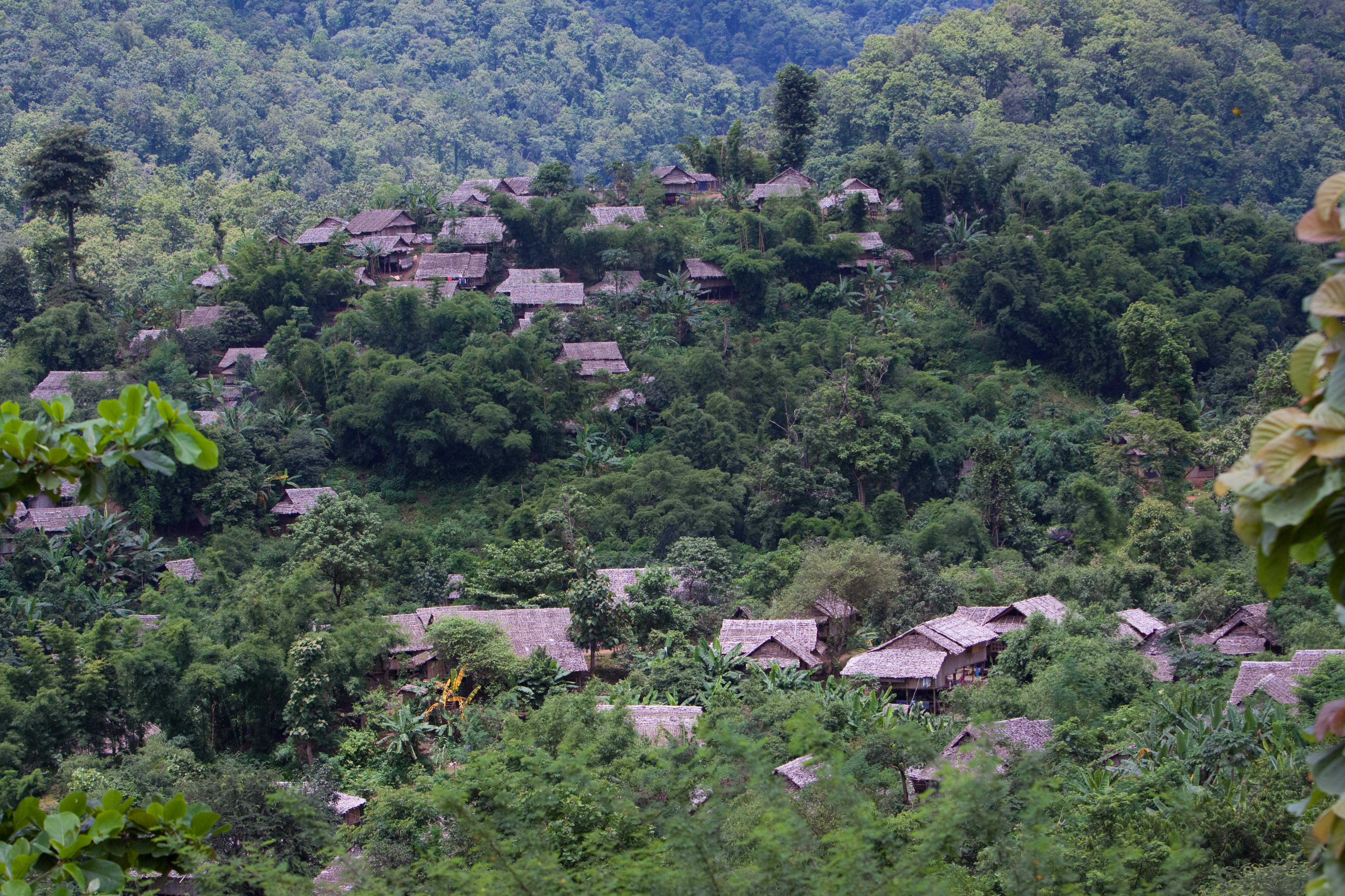 Refugee Camp in the Jungle