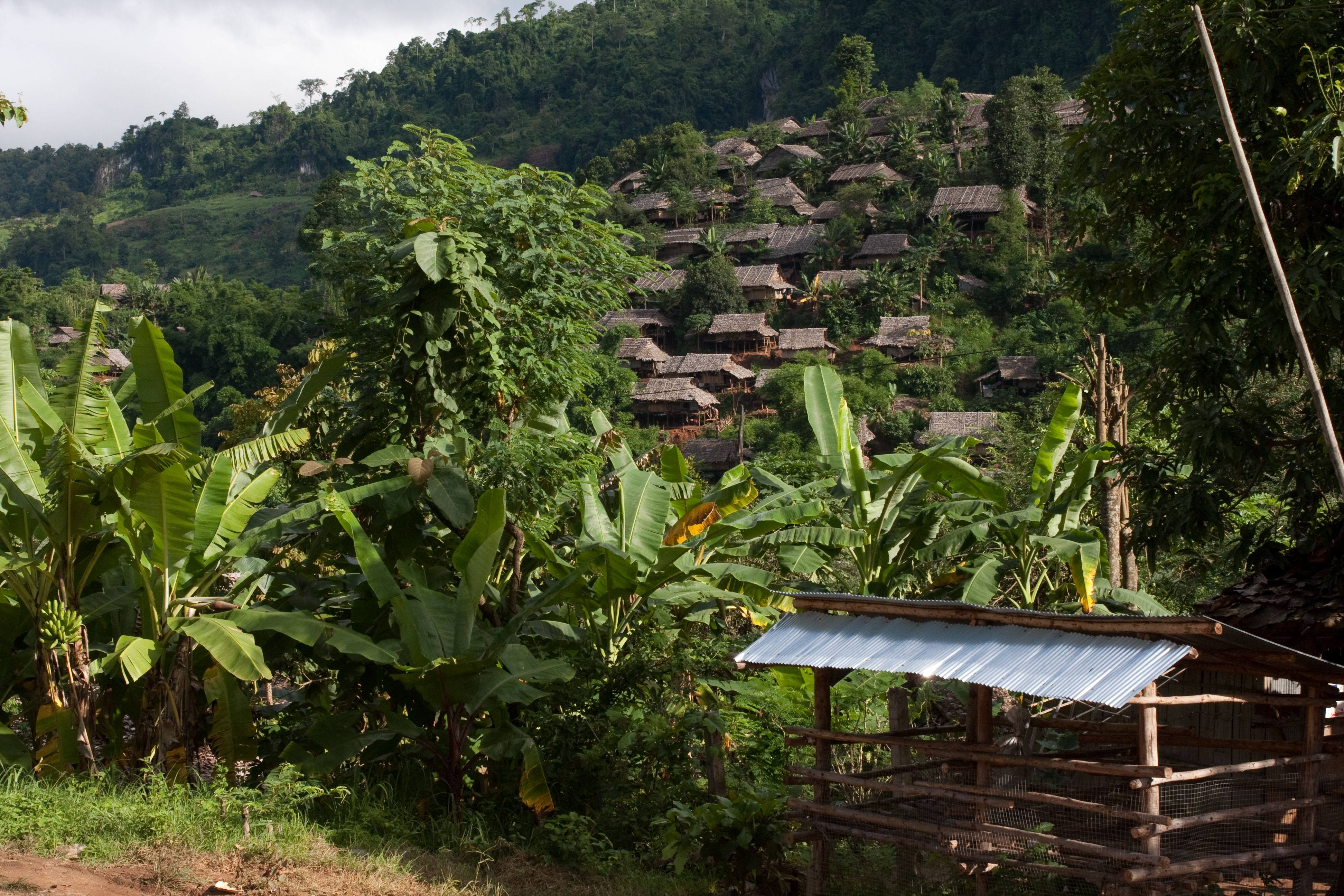 Refugee Camp in the Jungle