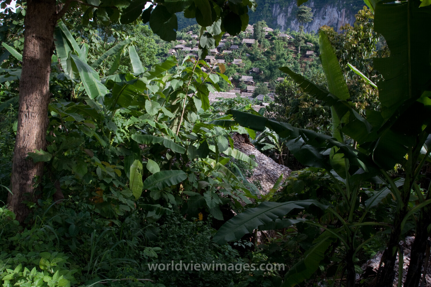 Refugee Camp in the Jungle
