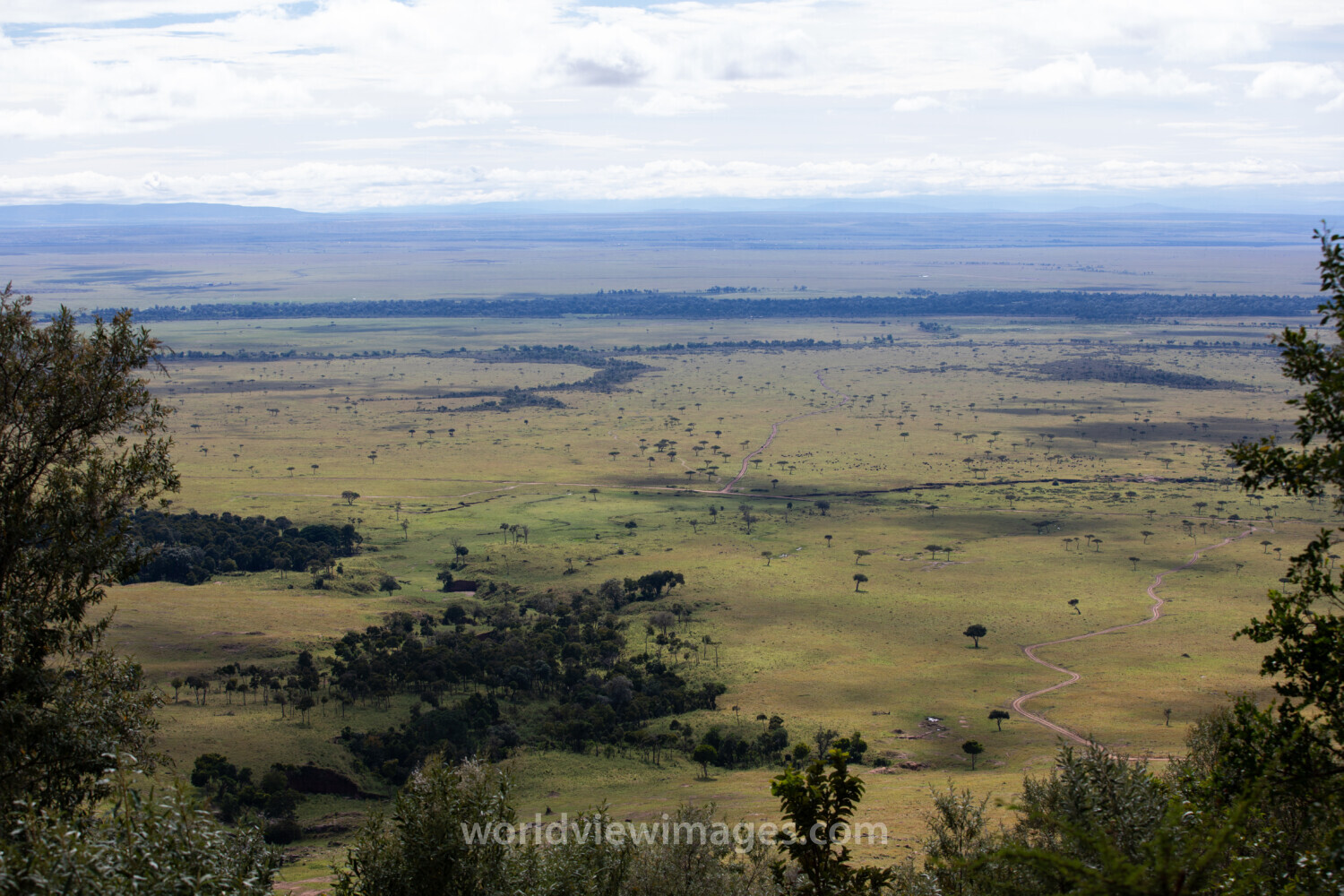 Maasai Mara