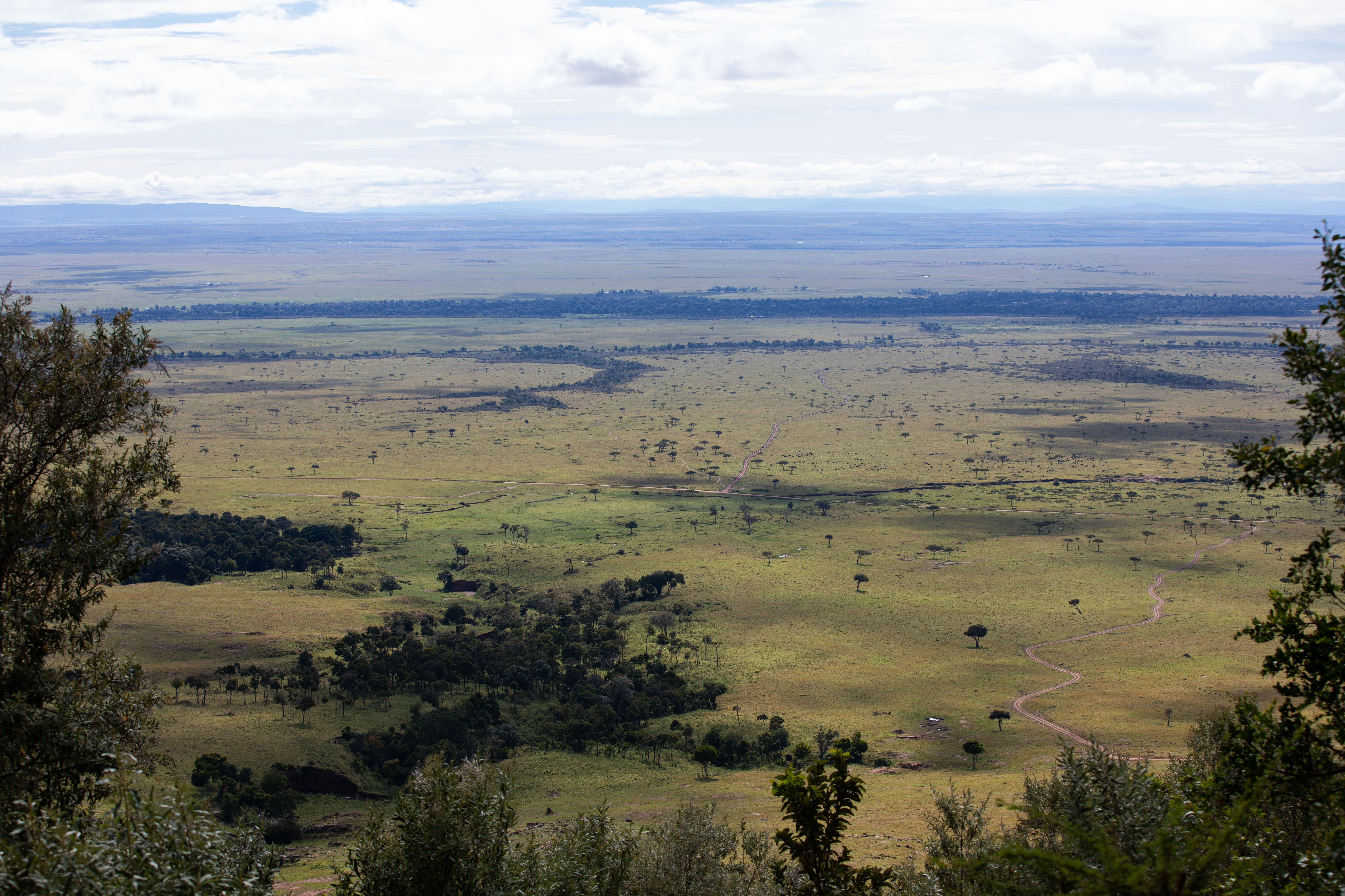 Maasai Mara