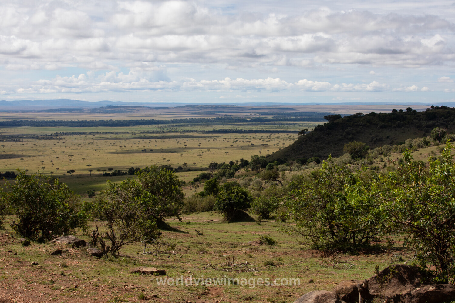Maasai Mara