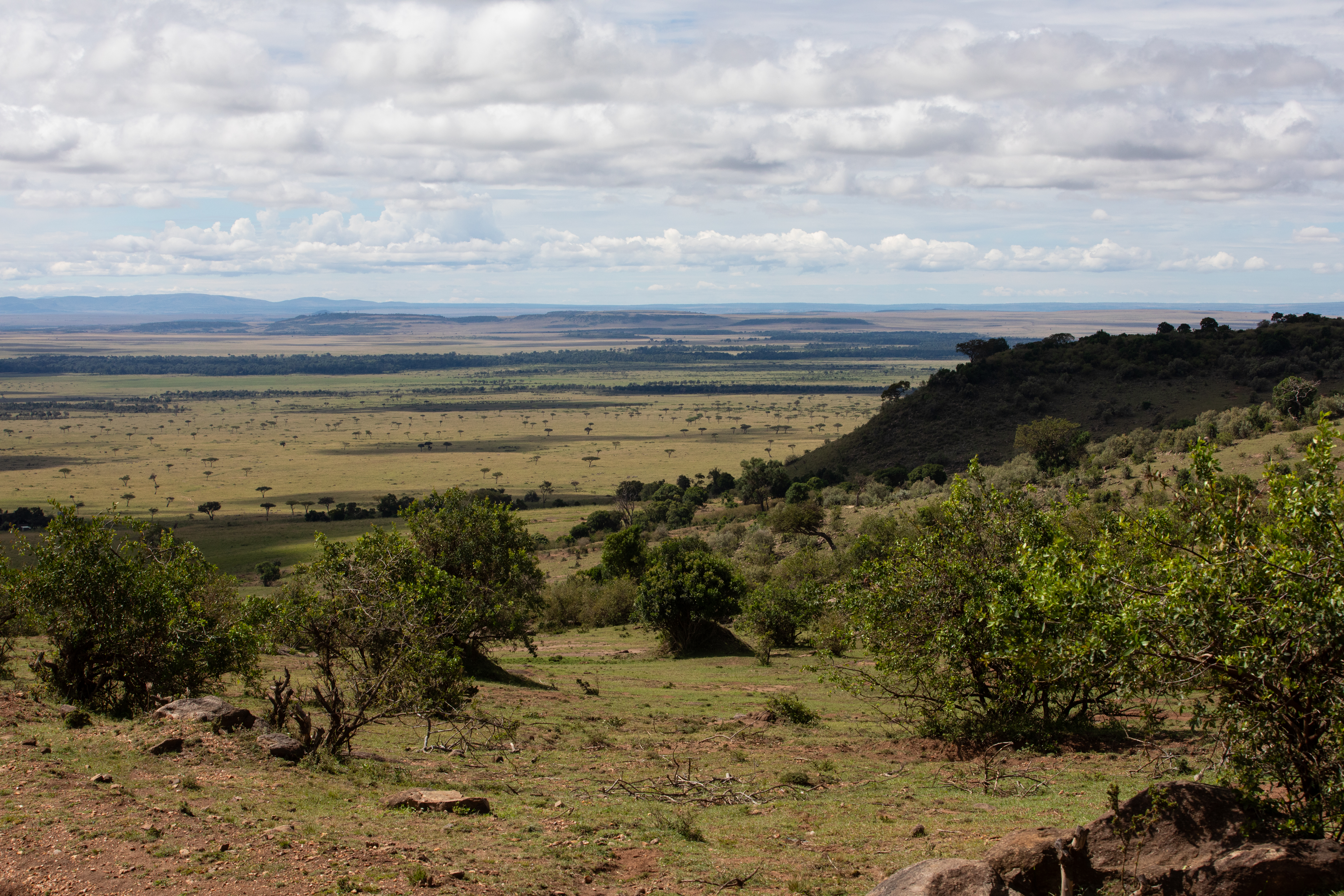 Maasai Mara